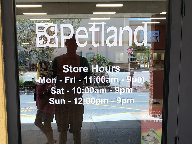 Petland windows